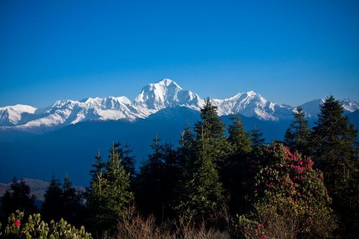 From Pokhara: Beautiful Poon Hill Trek 3 Days - Highlights of the Trek