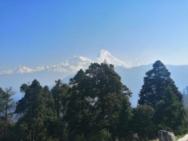 From Pokhara: Budget 2 Night 3 Days Poon Hill Trek - Detailed Itinerary
