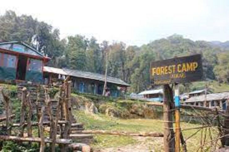 From Pokhara Budget: 5 Day Mardi Himal Base Camp Trek - Experience Highlights