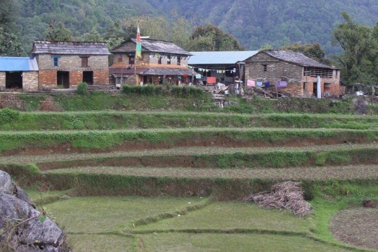 From Pokhara: Budget; 5 Day Poon Hill & Hot Spring Trek - Detailed Itinerary