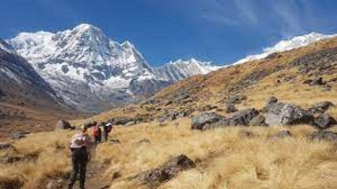 From Pokhara : Budget 6 Night 7 Day Annapurna Basecamp Trek - Common Questions