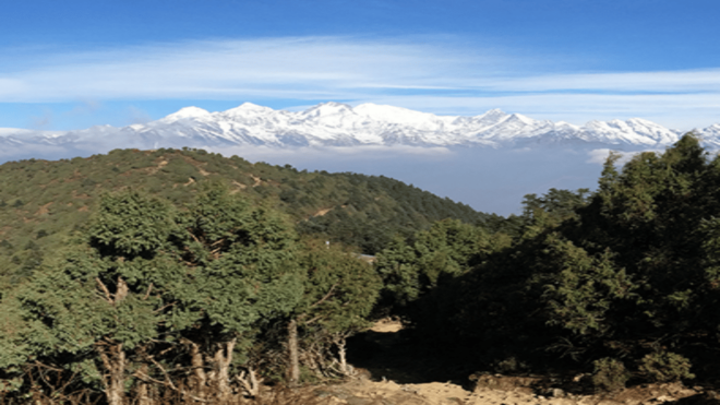 From Pokhara: Budget 7 Day Langtang Valley Trek - Detailed Itinerary