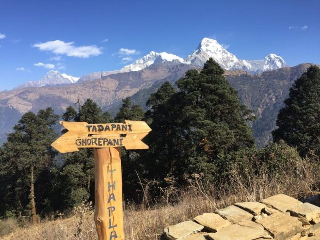 From Pokhara: Budget Day Hiking Australian Camp With Dhampus - Exclusions to Consider