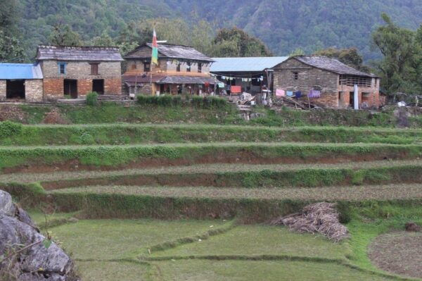 From Pokhara: Budget Day Hiking Australian Camp With Dhampus - What to Bring for the Hike