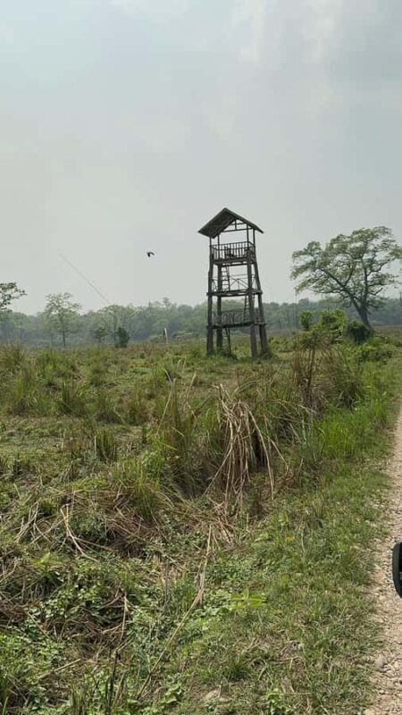 From Pokhara: Chitwan 2N/3D National Park Tour - What Not to Expect or Consider