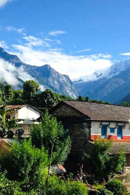 From Pokhara: Day Hiking Australian Camp & Dhampus - Scenic Highlights