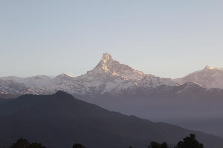 From Pokhara: Day Hiking Australian Camp With Local Guide - Itinerary and Experience