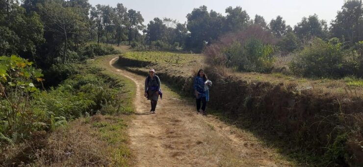 From Pokhara: Easy Half Day Hiking to Methlang - Itinerary Details