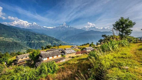 From Pokhara: Easy Half Day Hiking to Methlang - Booking Information