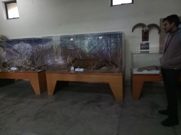 From Pokhara: Full Day Museum Tour - Experience Highlights