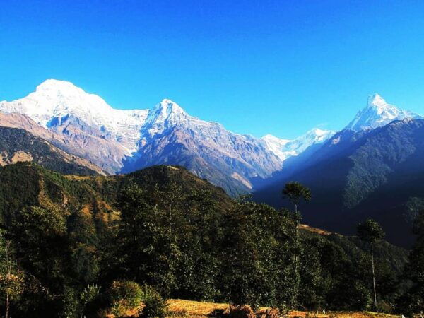 From Pokhara: Ghandruk Village Trek - Questions You May Have