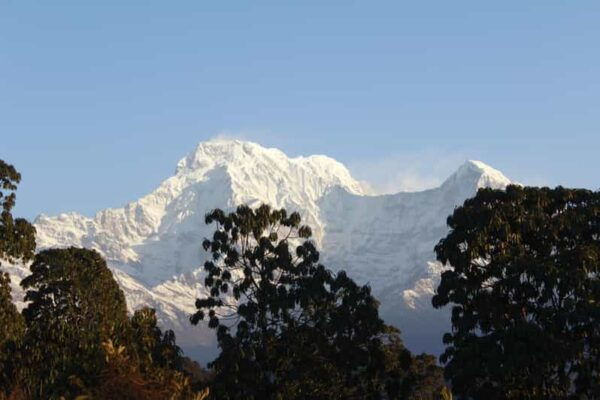 From Pokhara Group Departure: One Day Trek Australian Camp - Tips for Travelers