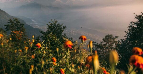 From Pokhara: Group Joining Sarangkot Sunrise Himalayas Tour - Questions You May Have