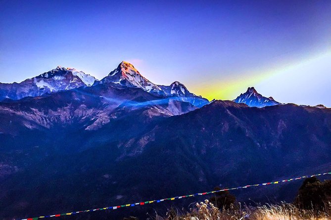 From Pokhara: Mardi Himal Base Camp Trek - 5 Days - Common Questions