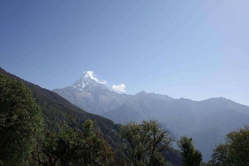 From Pokhara: Mardi Himal Trek with Accommodation and Guide - Good To Know