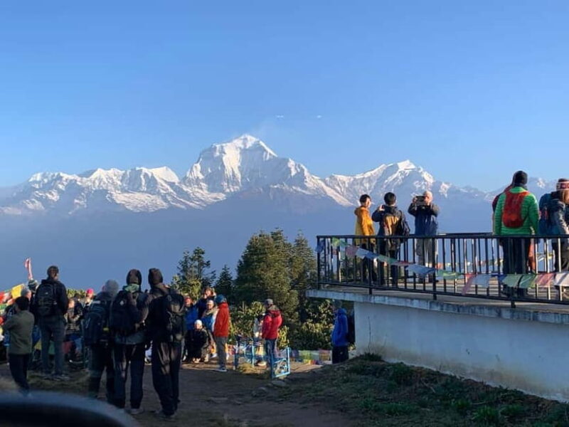 From Pokhara: Mulde Viewpoint & Poon Hill Combo Trek - Good To Know