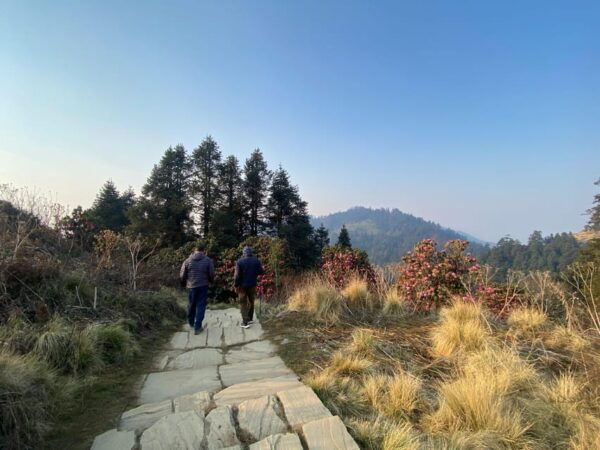 From Pokhara: Poon Hill Day Tour With Short Hiking - Best Seasons to Visit