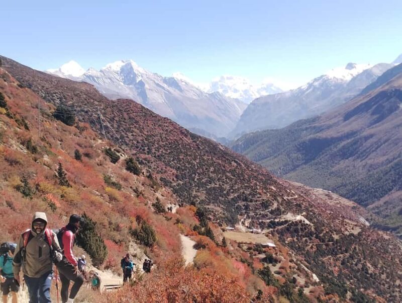 From Pokhara: Poon Hill, Ghandruk & Australian Camp Trek - Why This Trek Is Worth Considering