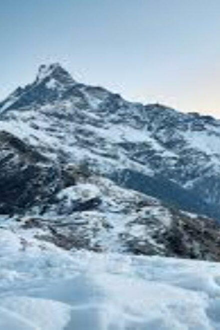 From Pokhara: Private - 3 Day Mardi Himal Base Camp Trek - Inclusions and Services