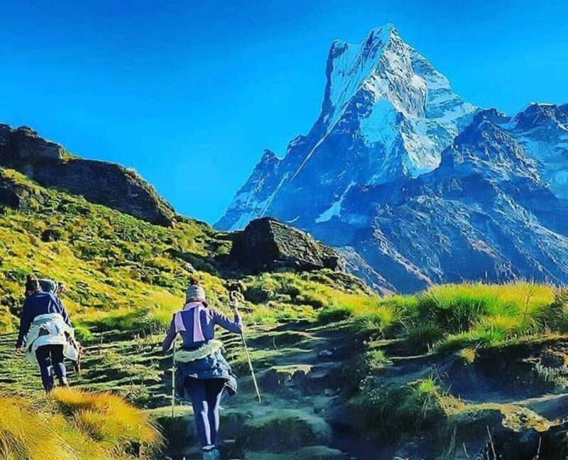 From Pokhara: Private 4-Day Mardi Himal Base Camp Trek - Detailed Review of the Mardi Himal Base Camp Trek