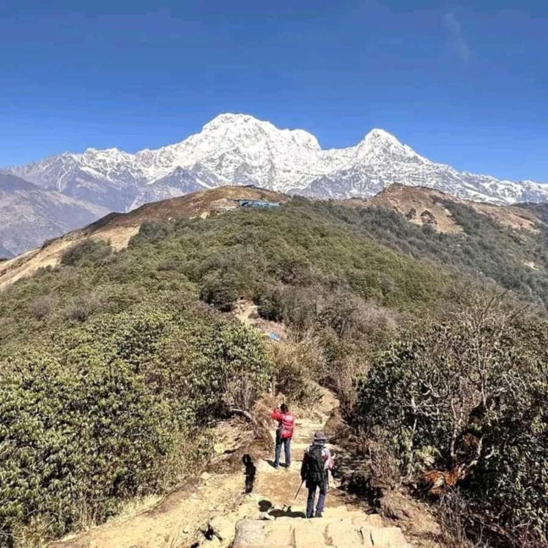 From Pokhara: Private 4-Day Mardi Himal Base Camp Trek - Final Thoughts
