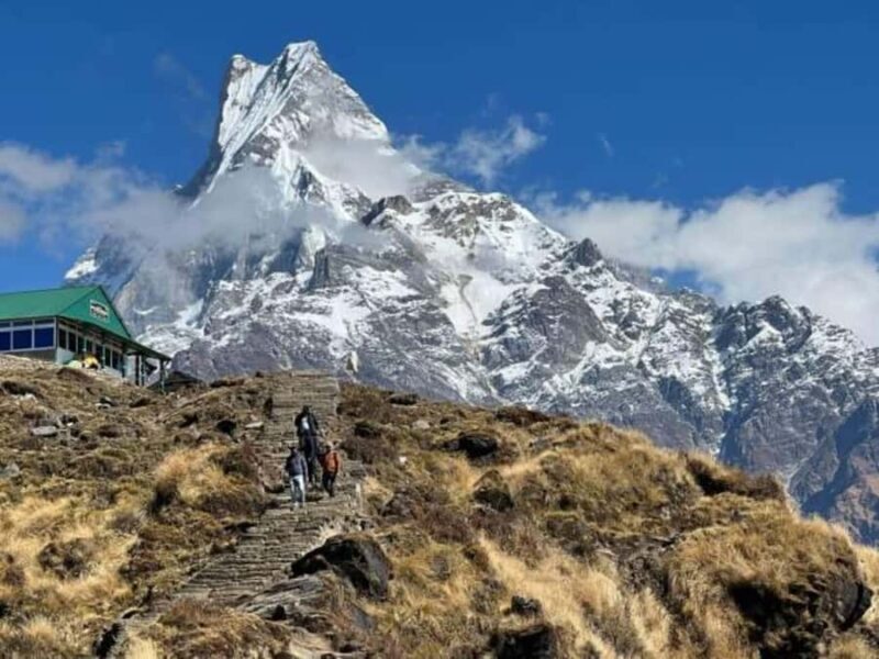 From Pokhara: Private 4-Day Mardi Himal Base Camp Trek - Accommodation & Food