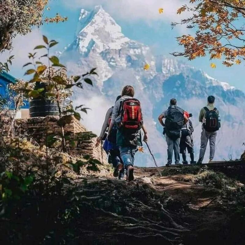 From Pokhara: Private 4-Day Mardi Himal Base Camp Trek - FAQs