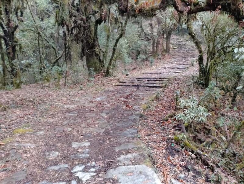 From Pokhara: SarangkotPanchase Heritage & Nature Trek - The Sum Up