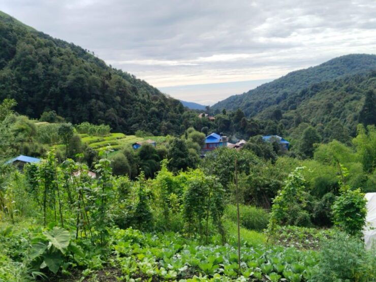 From Pokhara: Scenic Adventure: 2-Day Private Poon Hill Trek - Activity Details