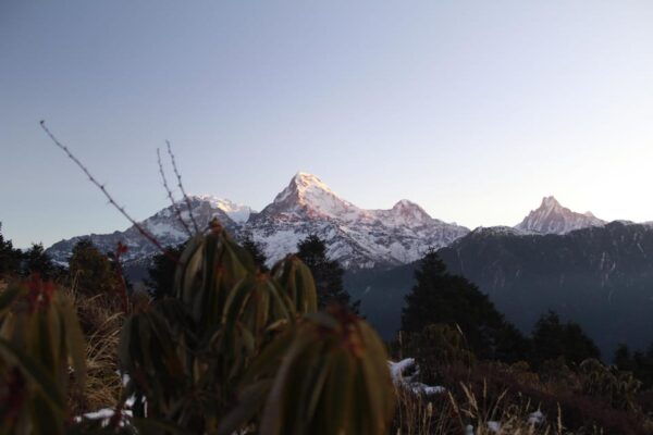 From Pokhara Short: 1 Night 2 Day Ghorepani Poon Hill Trek - Local Culture and Experience