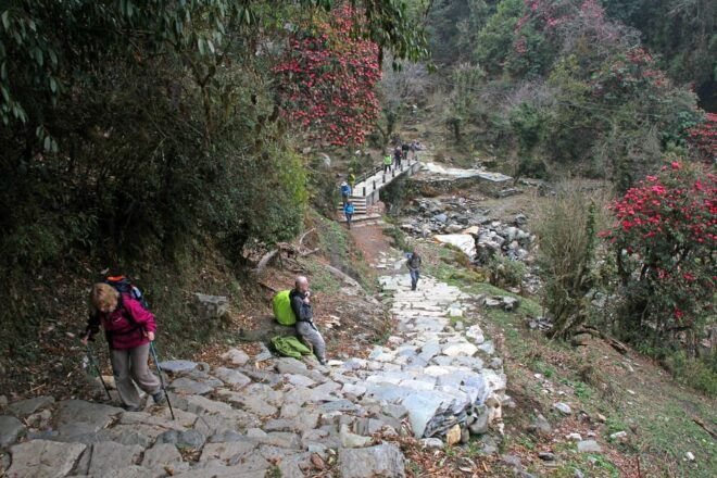From Pokhara: Short 1 Night 2 Day Ghorepani Poon Hill Trek - Essential Packing List