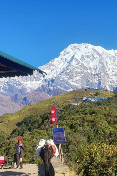 From Pokhara: Short Mardi Himal Guided Private Trek - 3 Days - Key Points