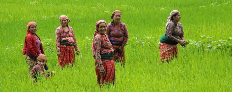 From Pokhara: Syangja Sirubari 4-Day Village Homestay Tour - Who This Tour Is Best For