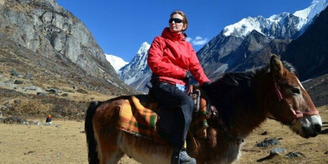 From Pokhara: Unforgettable Horseback Riding Adventure - Highlights
