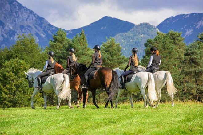 From Pokhara: Unforgettable Horseback Riding Adventure - Customer Review