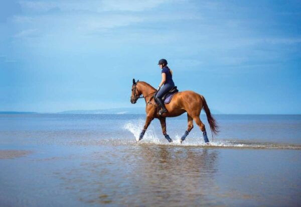 From Pokhara: Unforgettable Horseback Riding Adventure - Common Questions