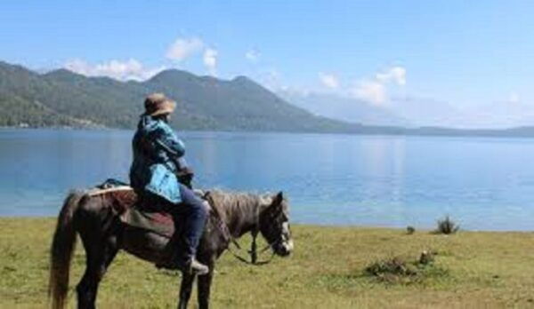 From Pokhara: Unforgettable Horseback Riding Adventure - The Sum Up