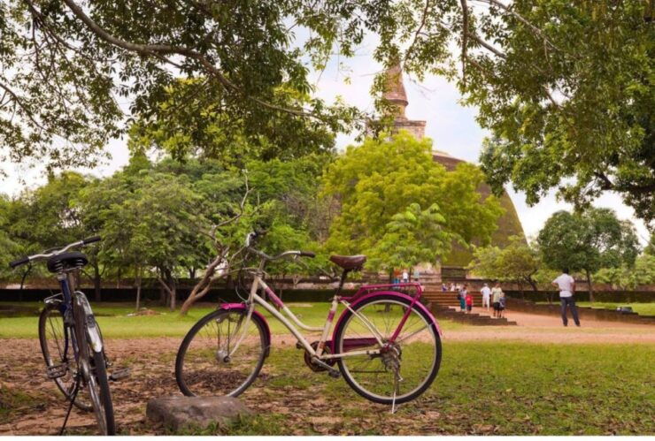 From Polonnaruwa: Ancient City of Polonnaruwa by Bike - Booking Details