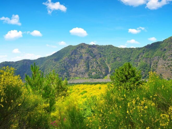 From Pompei: Mount Vesuvius Sunset Trip With Entry Ticket - Important Information