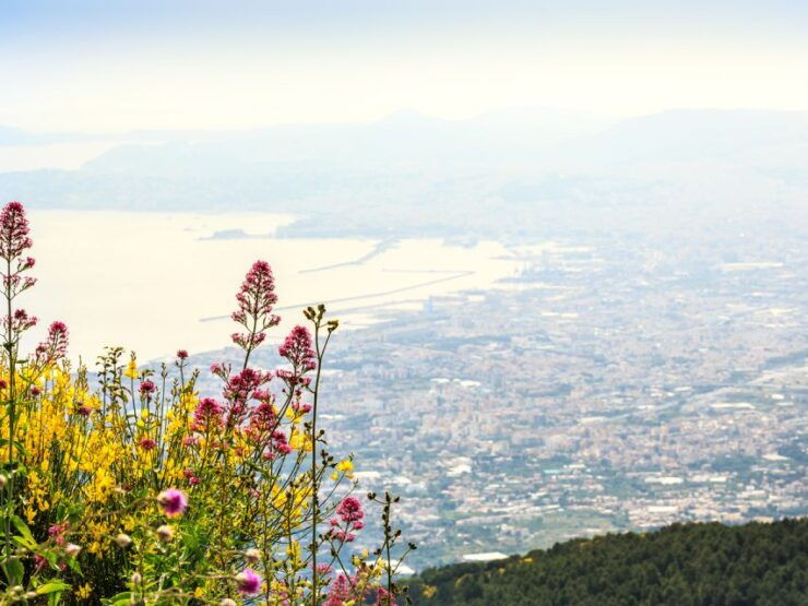 From Pompeii: Bus Transfer to Vesuvius With Park Entry Fee - Booking and Logistics