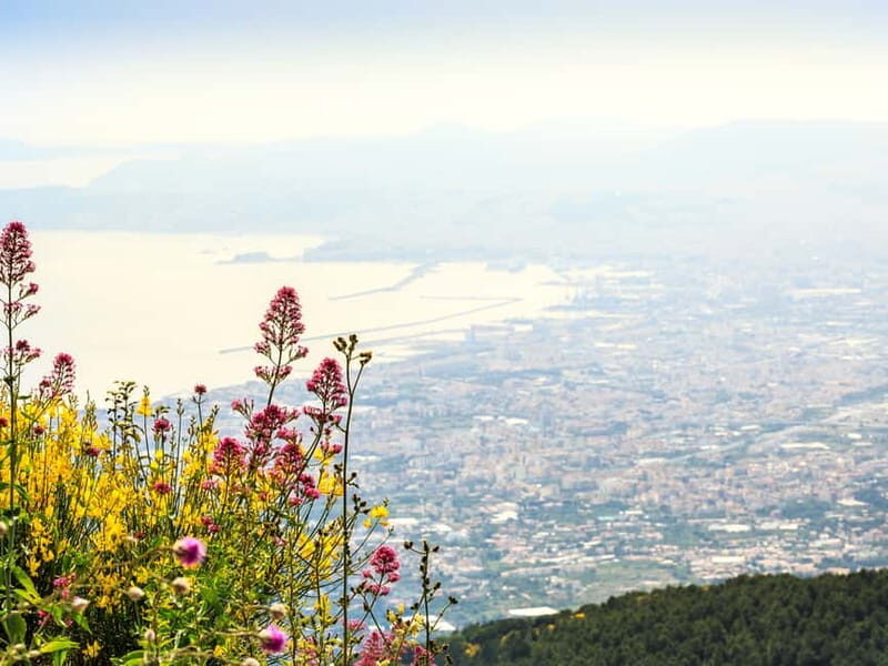 From Pompeii: Mount Vesuvius Hike & Tour by Bus - Introduction