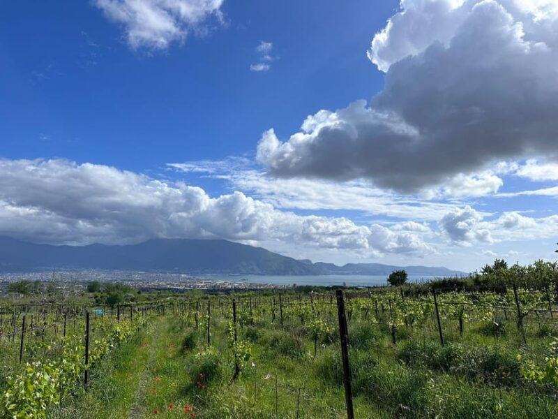 From Pompeii: Mount Vesuvius Horseback Riding Tour - Good To Know
