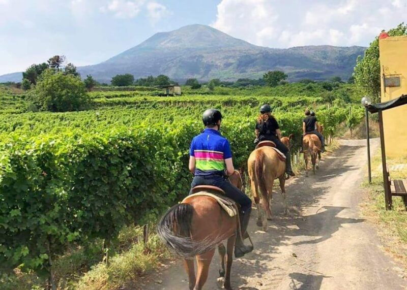 From Pompeii: Mount Vesuvius Horseback Riding Tour - Itinerary and Activities