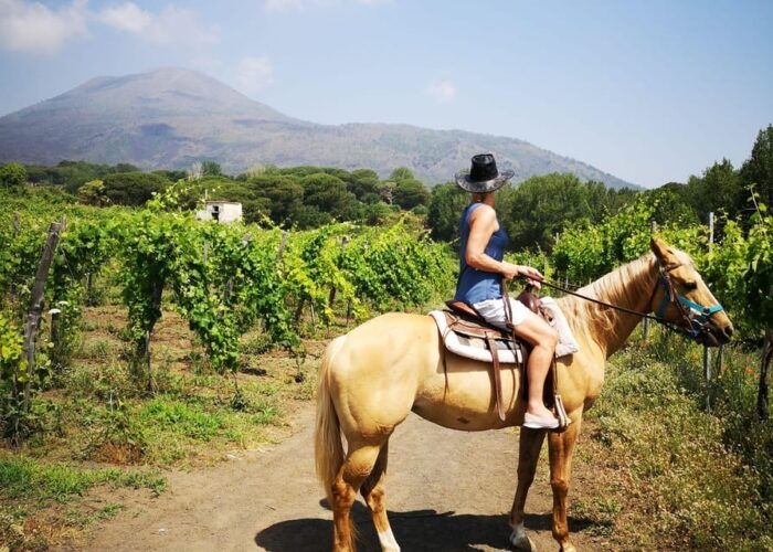 From Pompeii: Mount Vesuvius Horseback Riding Tour - Highlights of the Mount Vesuvius Experience