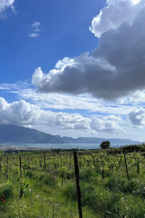 From Pompeii: Mount Vesuvius Horseback Riding Tour - Itinerary Details