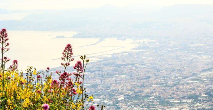 From Pompeii: Mt. Vesuvius Hike & Tour by Bus - Booking Details
