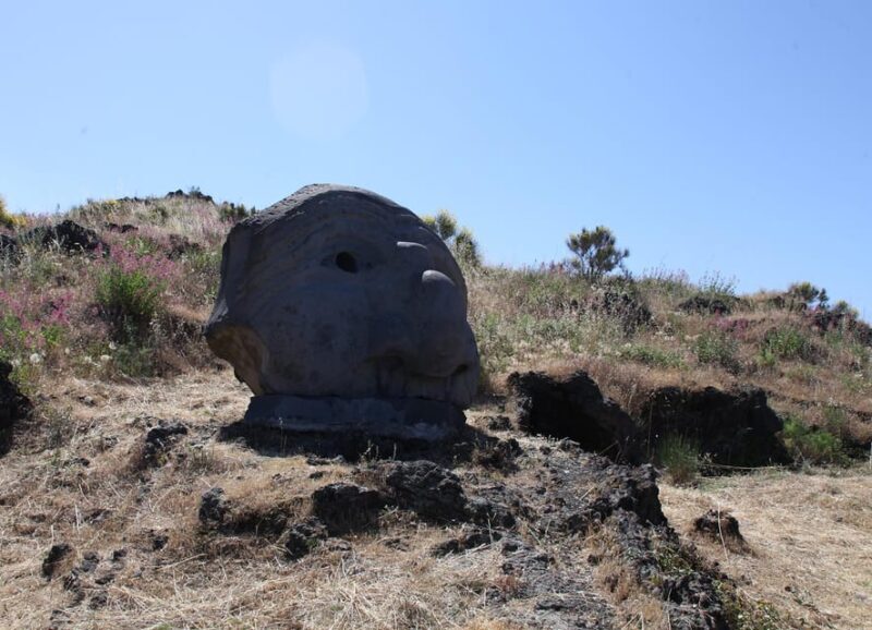 From Pompeii: Vesuvius Entry with Transfer and Audioguide - Additional Considerations