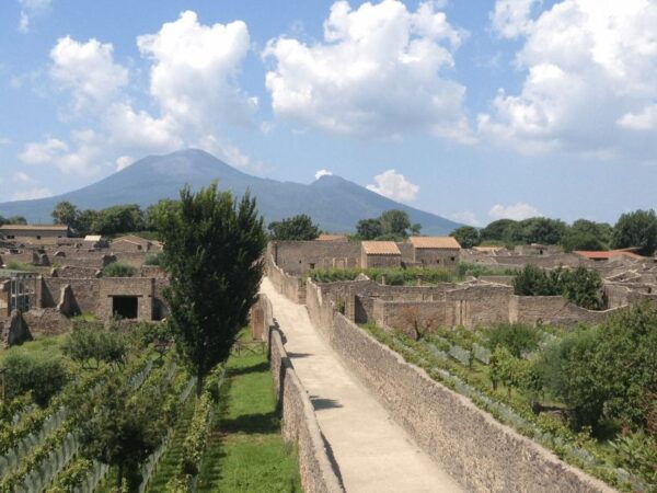 From Pompeii: Walking Tour With Guide in the Excavations - The Sum Up