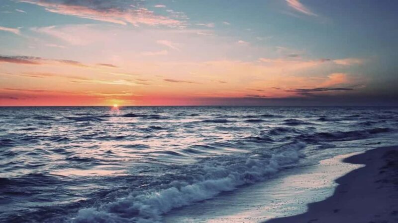 From Pondicherry: Day Tour to Mahabalipuram and Kanchipuram - Final Thoughts