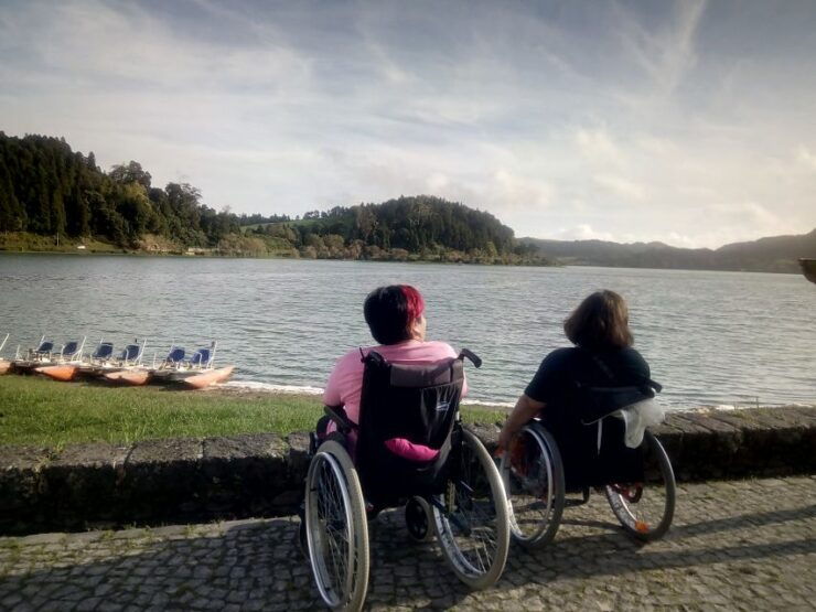From Ponta Delgada: Furnas Wheelchair Accessible Van Tour - Inclusions